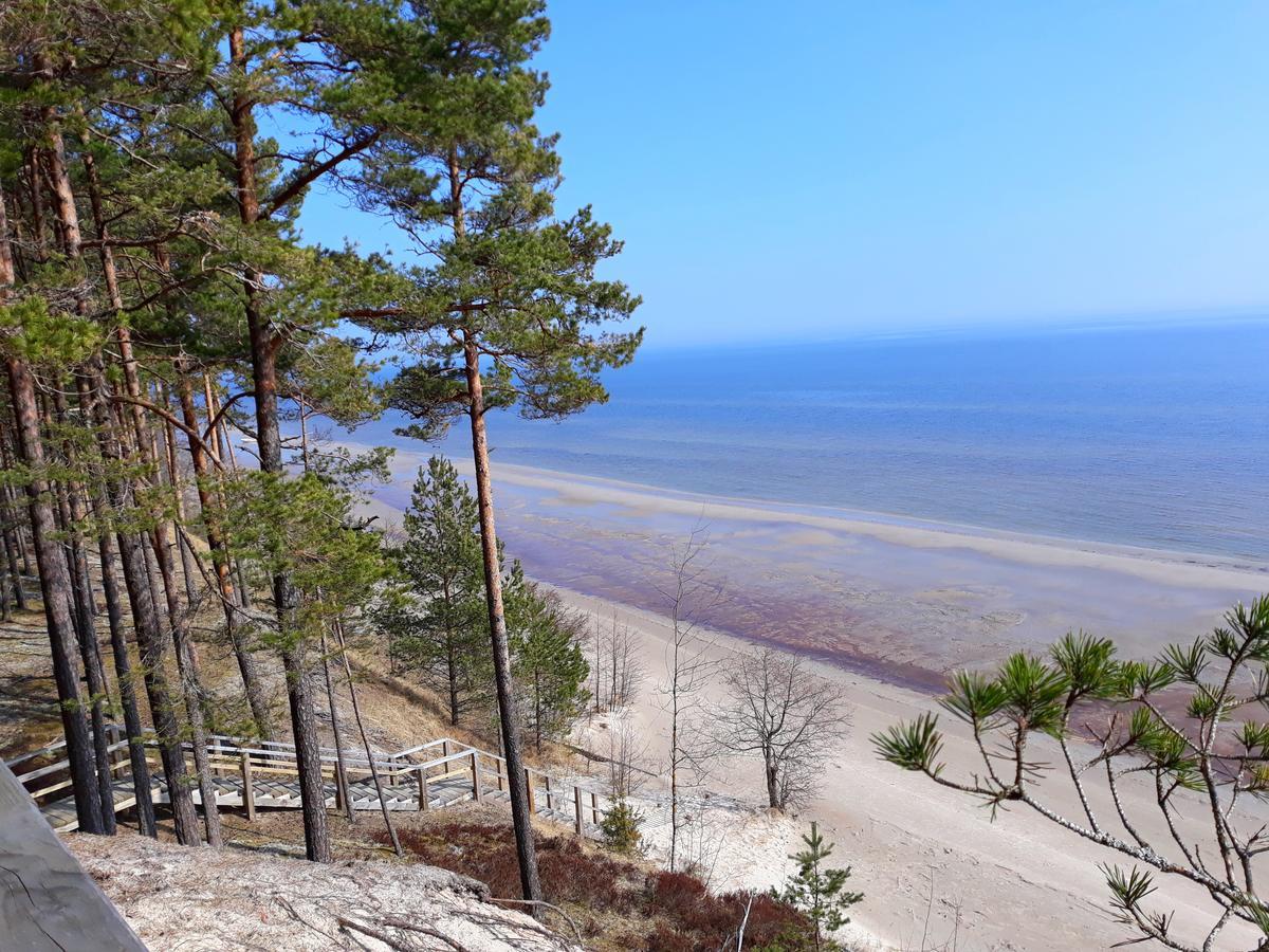 Atputas Vieta Braltirumi Purciems Bagian luar foto